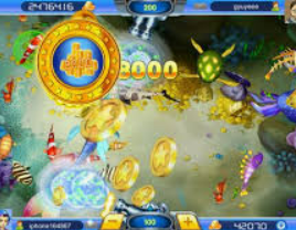 新kiyaun网页版登录2024最新版